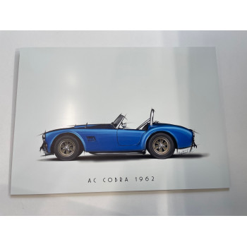 Plexi A3 AC Cobra 1962