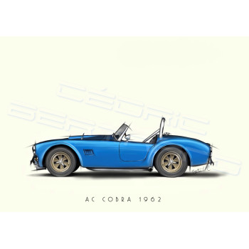 Plexi A3 AC Cobra 